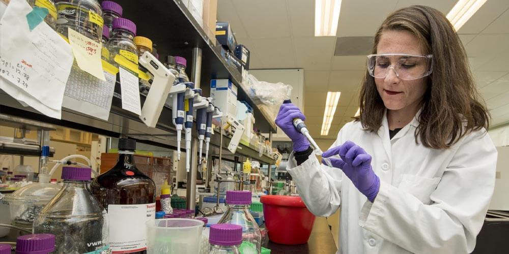 Esperimenti scientifici per bambini laboratorio
