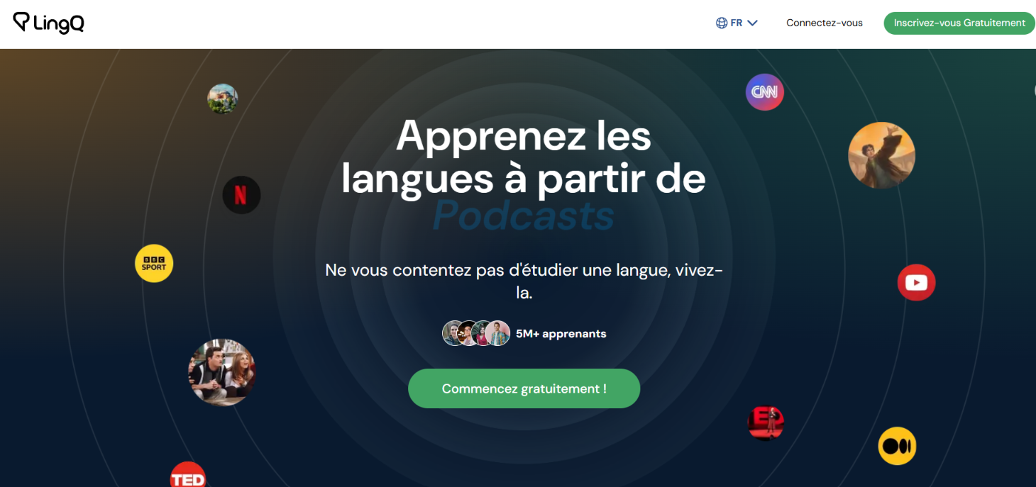 Image de la page d'accueil du site Ling Q