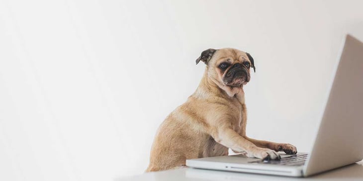 grundprinzipien-der-online-nachhilfe-beim-gostudent-02