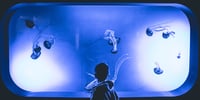 top-3-ferienaktivitaeten-fuer-kinder-mit-neurodiversitaet