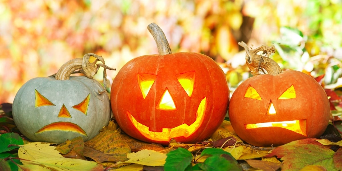 Pumpkin