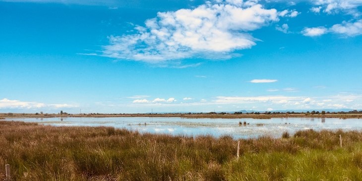 Marais-Camargue