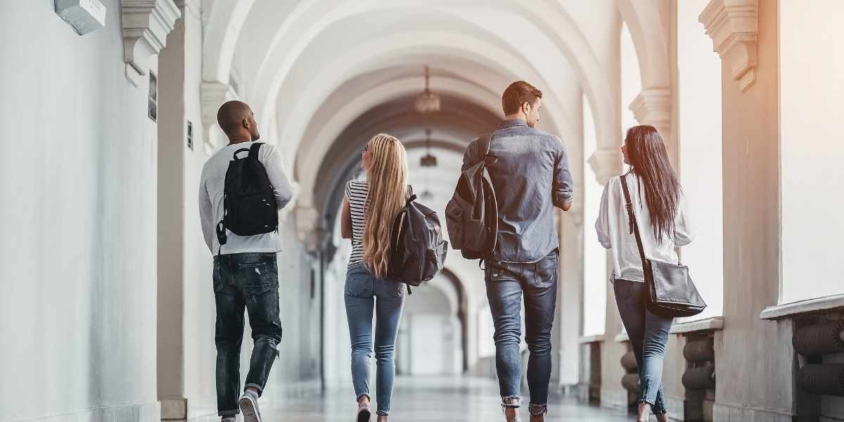 Université étudiants