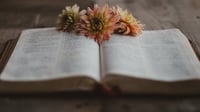 i-benefici-della-lettura