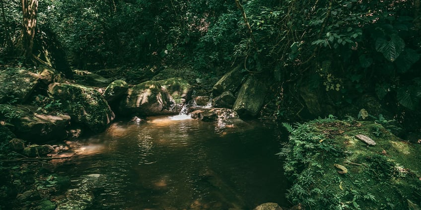 Amazonas