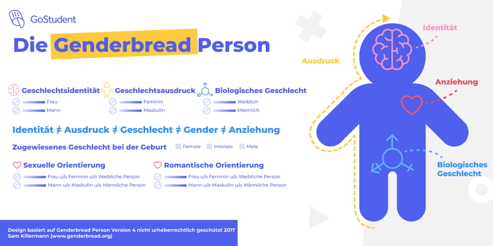 Genderbread Person_Geschlechtsidentität_Geschlechtsausdruck_Biologisches Geschlecht_Anziehung_Sam Killermann_GoStudent