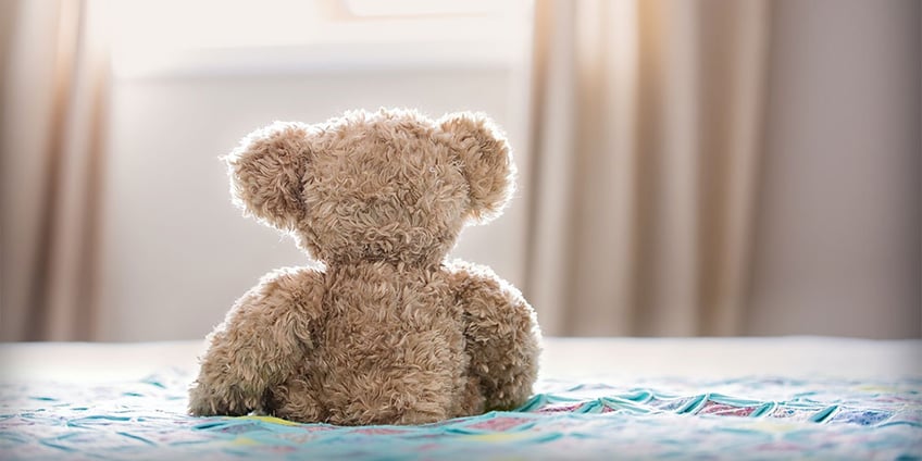 STUFFED-ANIMAL