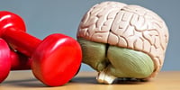 deporte-cerebro-actividad-fisica