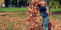kid playing with leaves