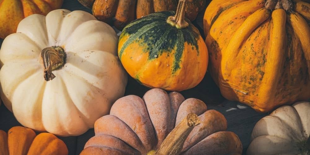 origen-de-halloween-historia-calabaza-de-halloween