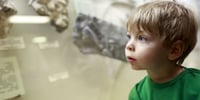 child in a history museum