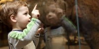 ninos-historia-museo