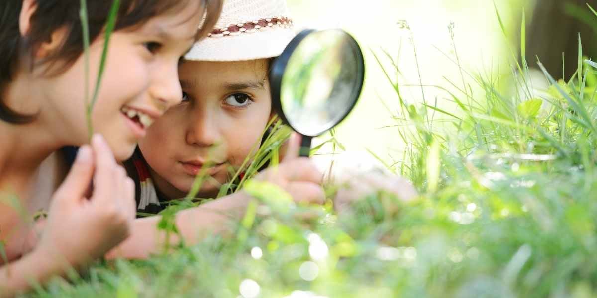 Enfants en classe verte