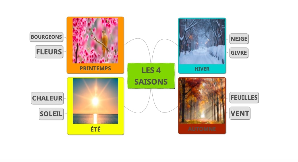 Mindmup saisons