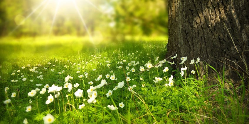 nature-questions-2