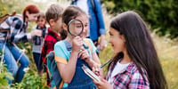 Idées de sorties scolaires