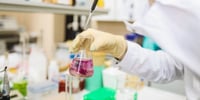 descubrimiento-cientifico