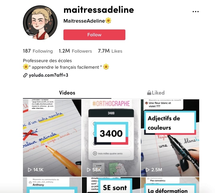 tiktok-france-4