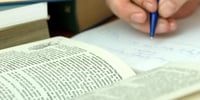 False Friends Englisch German