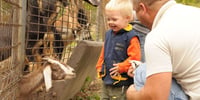 Meilleur parc animalier france