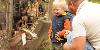 Les 20 meilleurs parcs animaliers et zoos de France