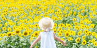 Vitamine D soleil 