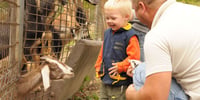 migliori-parchi-animali-per-bambini