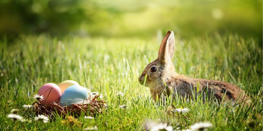 auguri-di-pasqua-idee