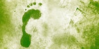 cosa-e-impronta-ecologica