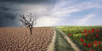 klimawandel für kinder erklärt