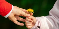 Das Geheimnis glücklicher Kinder