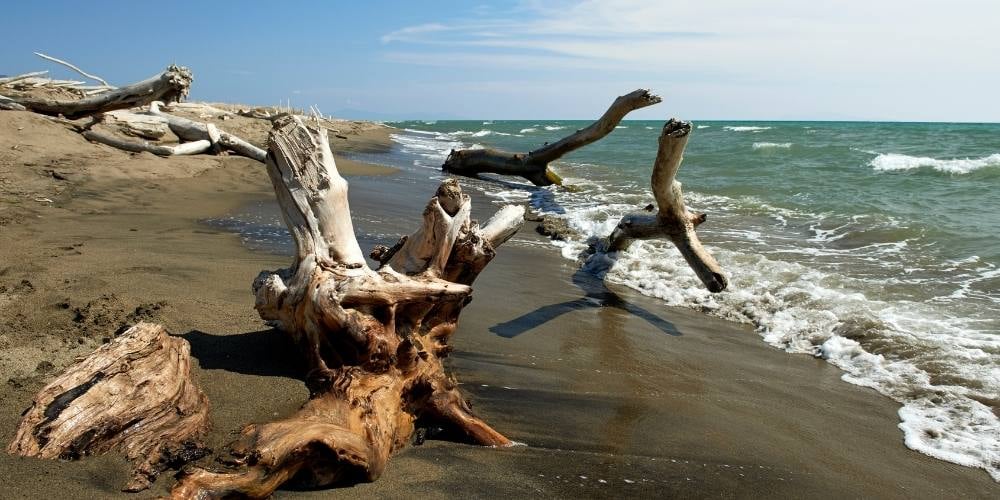 firenze-week-end-toscana-con-bambini-maremma