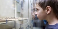 Best Museums for Kids in Birmingham