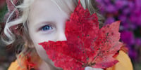 child's face with a leaf