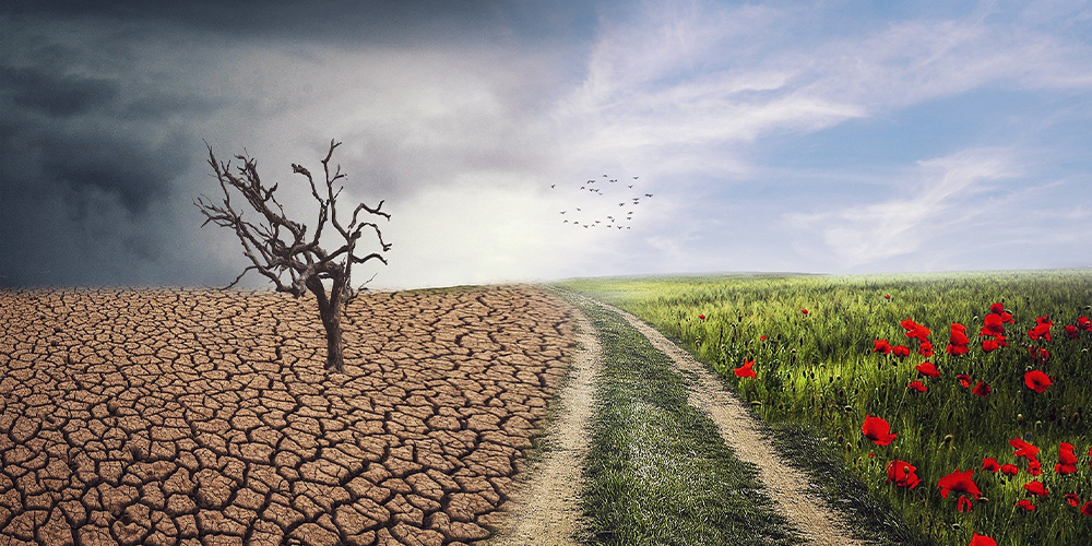 cambiamenti climatici spiegati ai bambini
