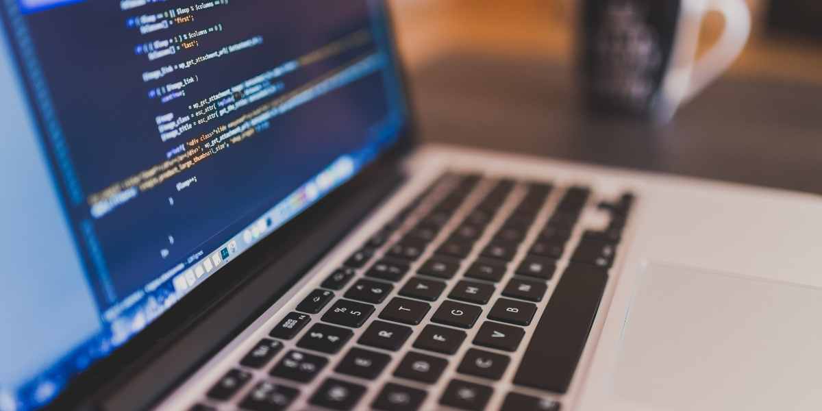 Codecademy avis