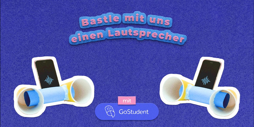 Lautsprecher selbst machen