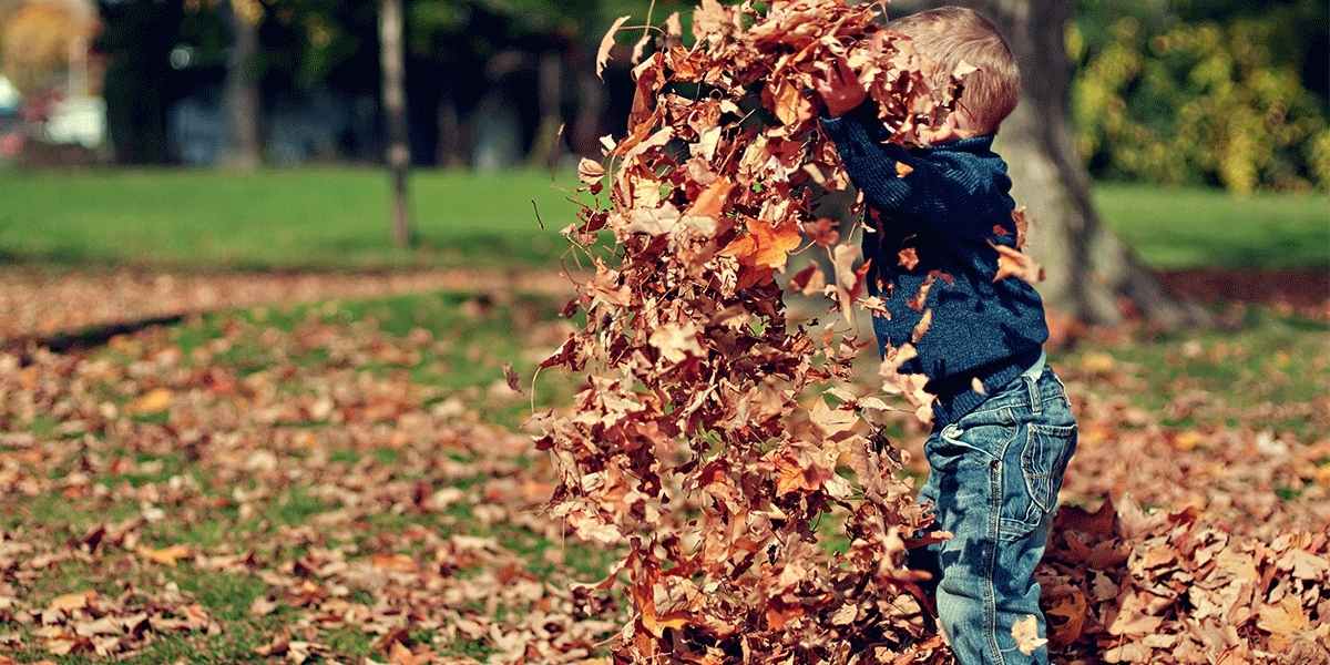 kid playing with leaves