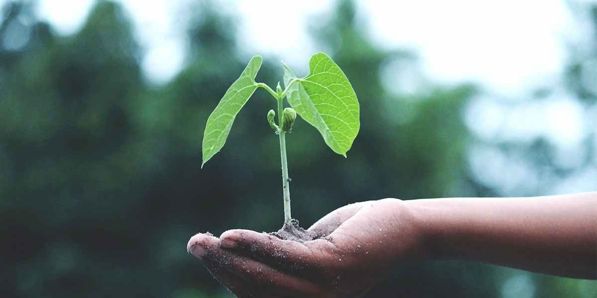 Respecter l'environnement