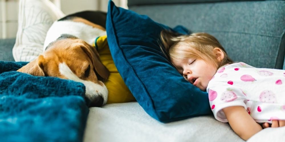 Sleep Hygiene