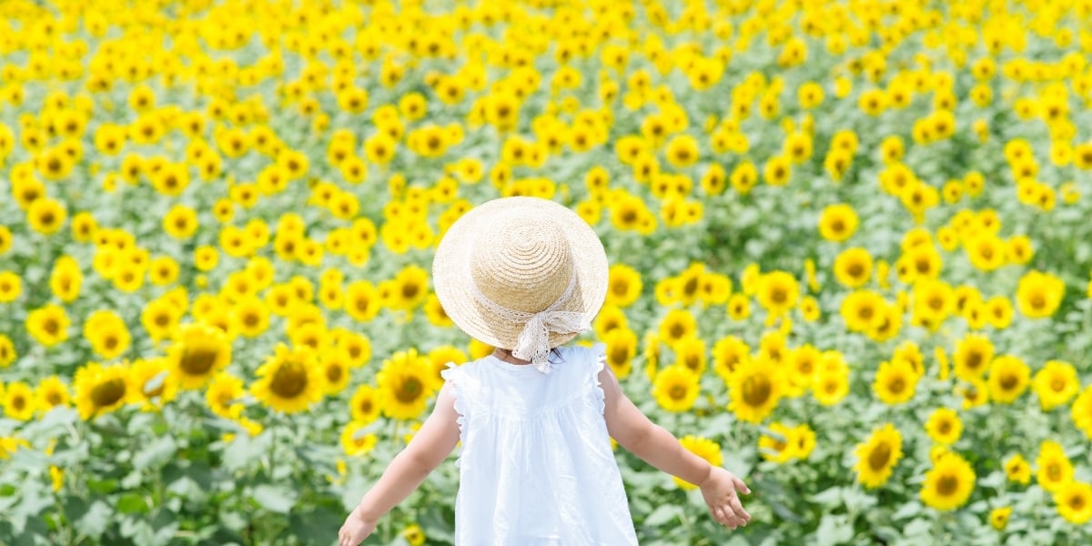 Vitamine D soleil 